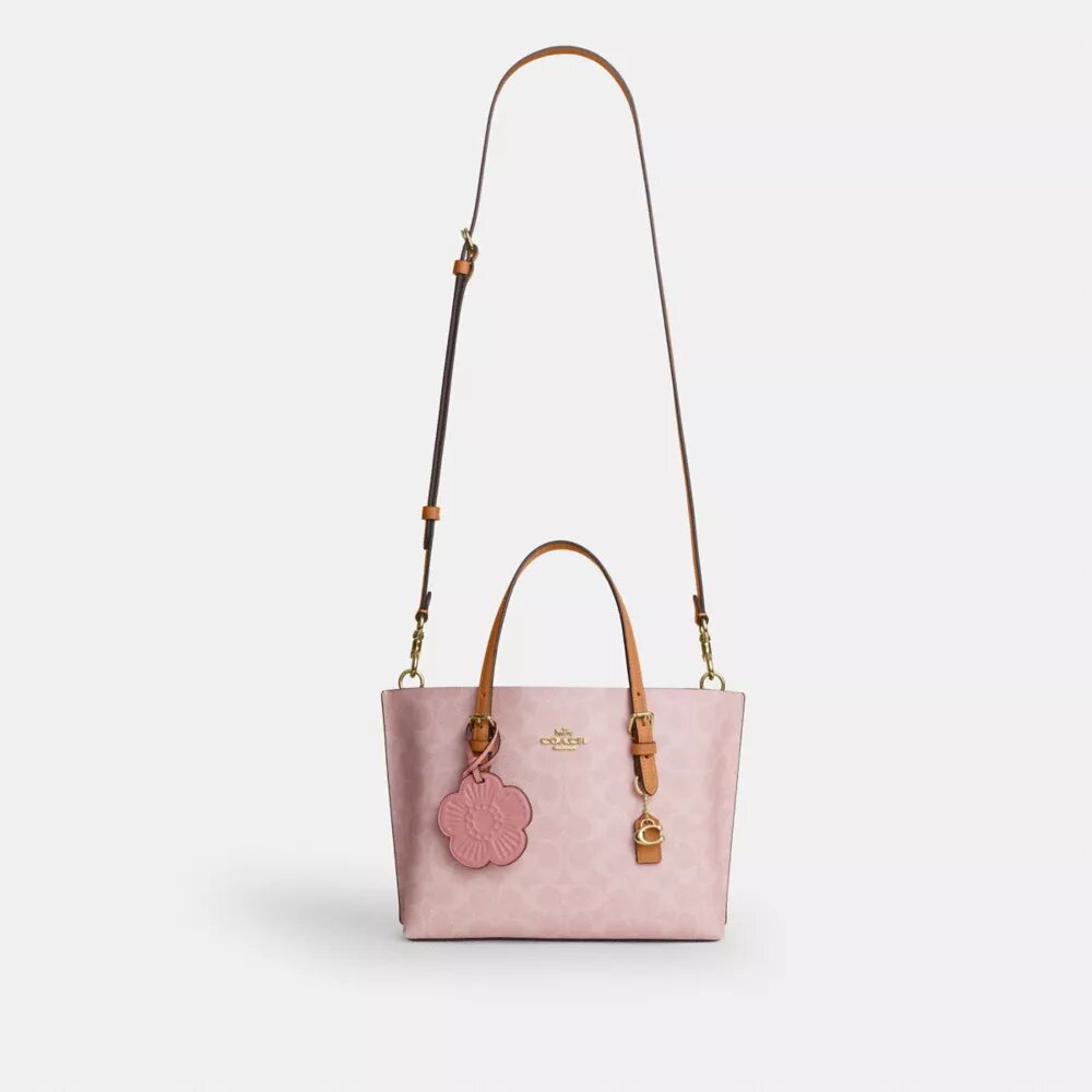 Mollie-tygkassa i 25 in Signature Canvas med smycken