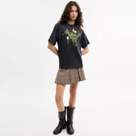 Rexy 10-årsdag – avslappnad T-shirt i ekologisk bomull