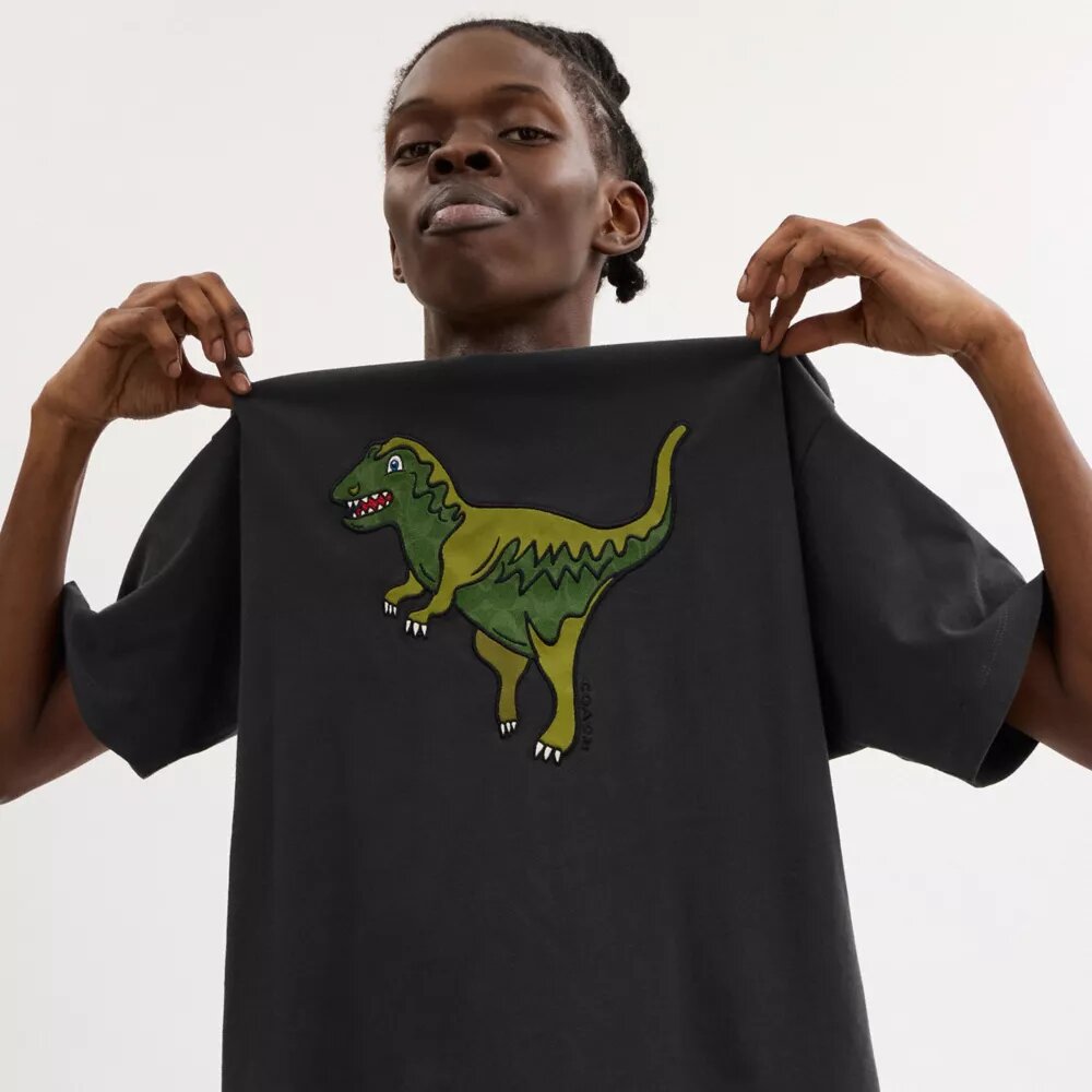 Rexy T-shirt med avslappnad passform i ekologisk bomull