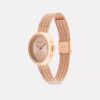 Sammy Watch, 22 mm