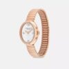 Sammy Watch, 22 mm