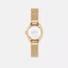 Sammy Watch, 22 mm