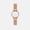 Sammy Watch, 22 mm