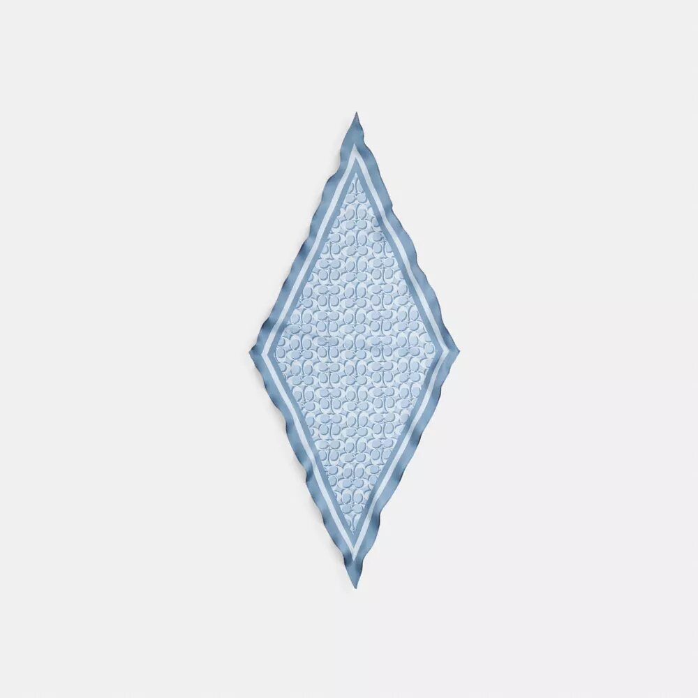 Signatur-silkesdiamantsjal