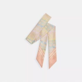 Smal silkescarf med signaturmönster i regnbågsfärger