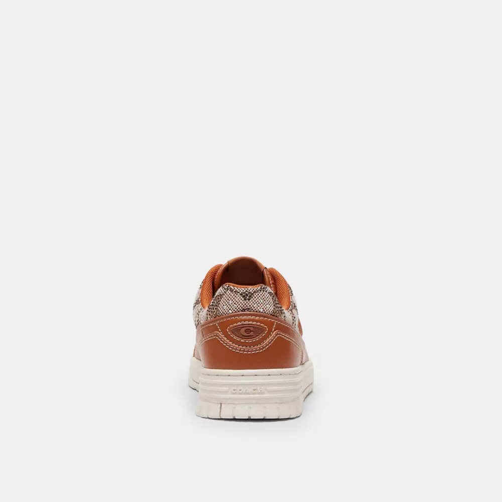 Soho-sneakers i Crystal Signature-jacquard