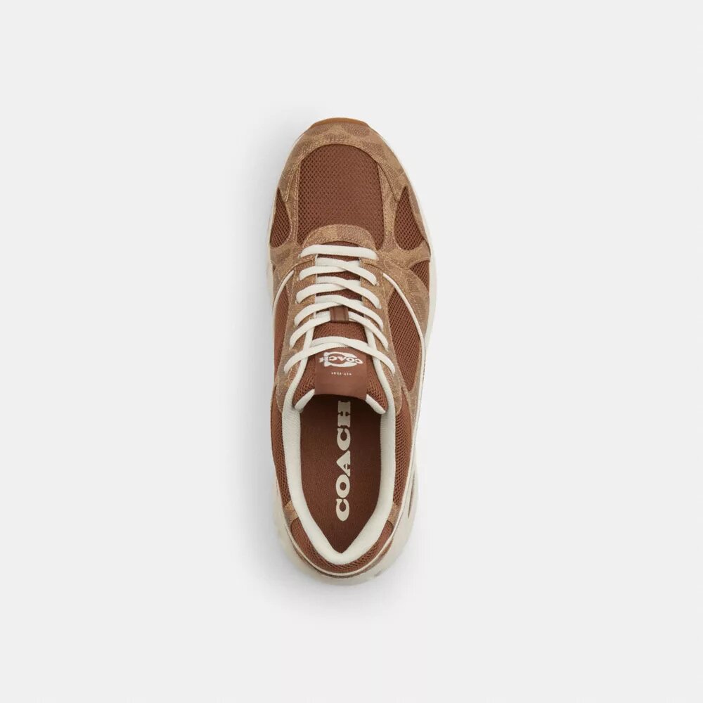 Sportsneakers i Signature Canvas