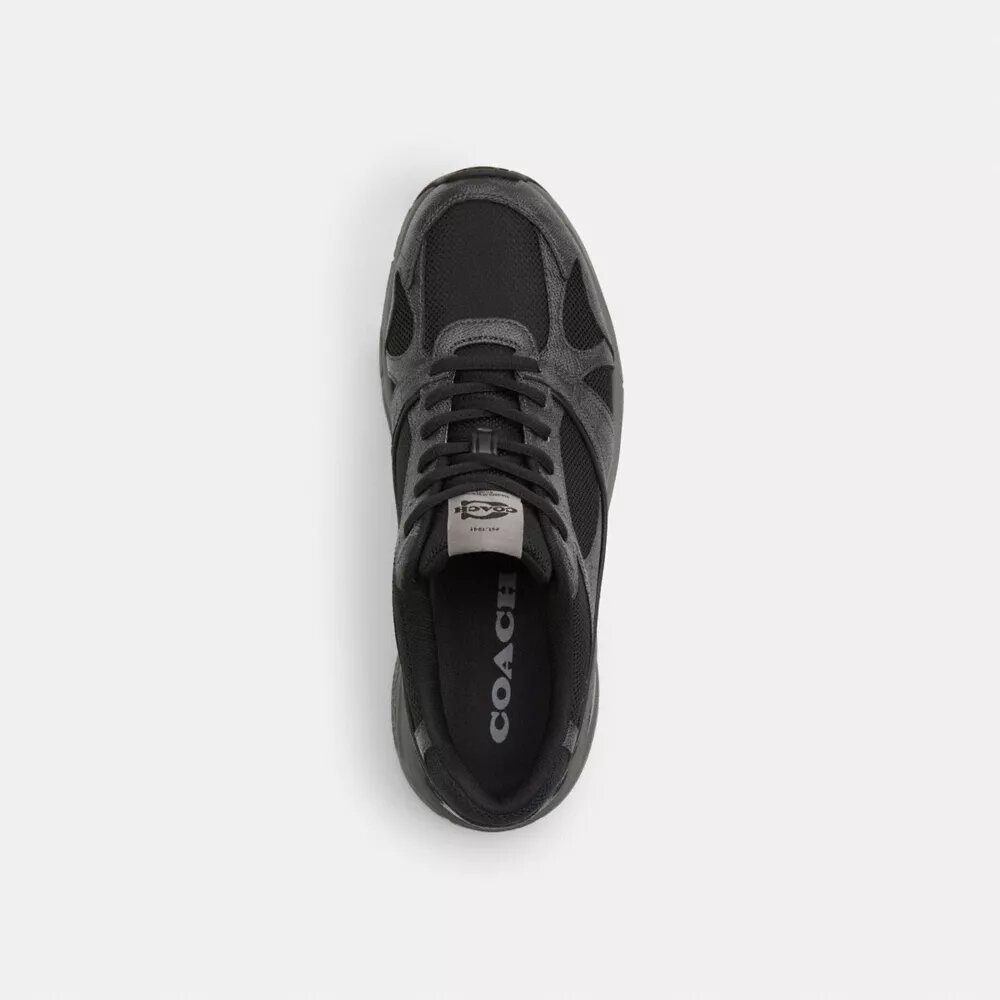 Sportsneakers i Signature Canvas