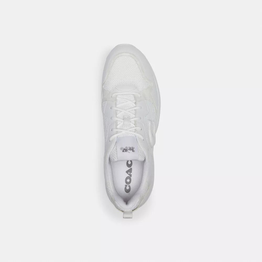 Strider-sneakers i Signature Canvas