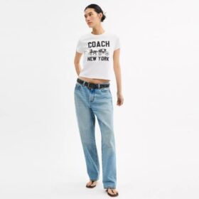 T-shirt med Horse and Carriage i ekologisk bomull