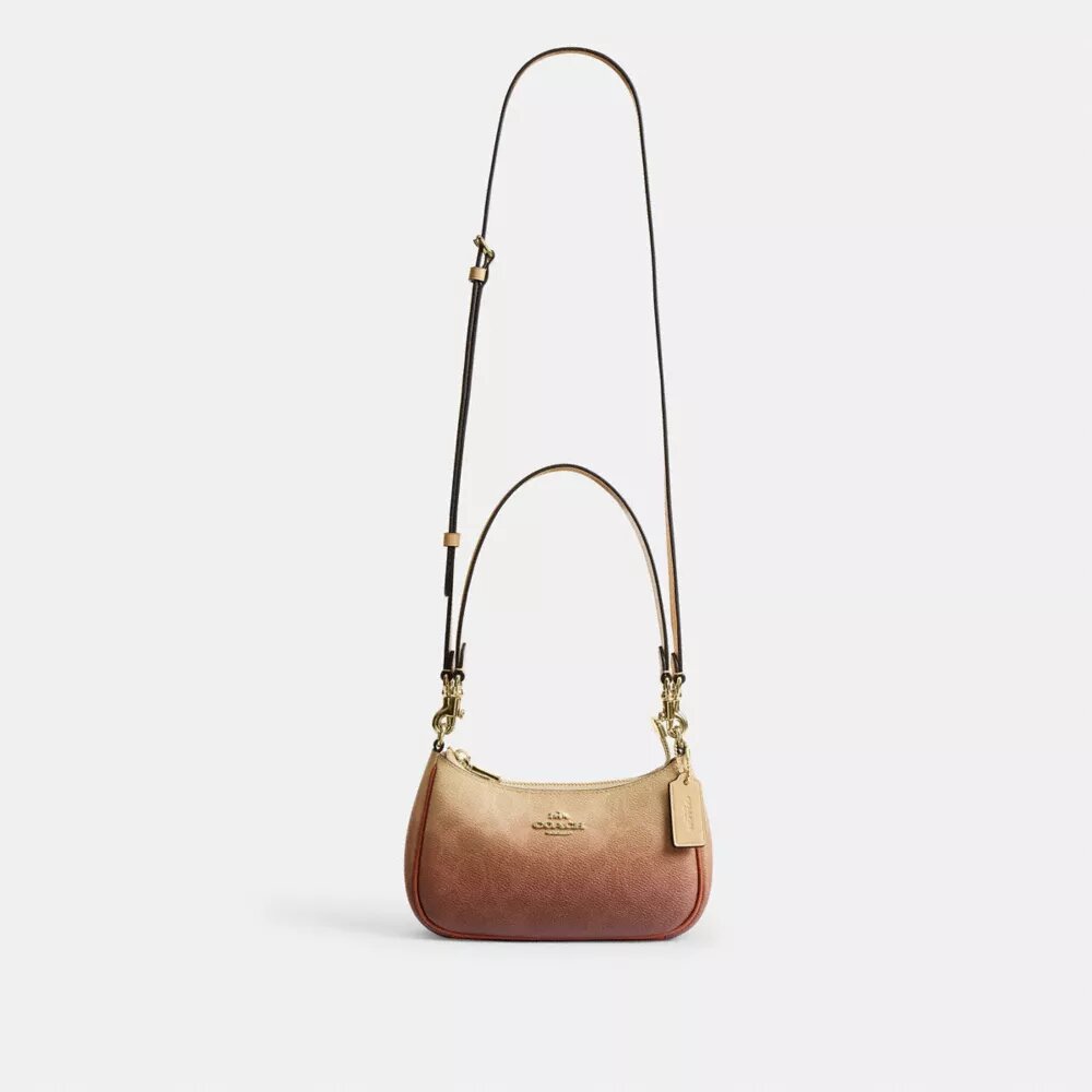 Teri Mini-crossbodyväska i Ombre Signature Canvas