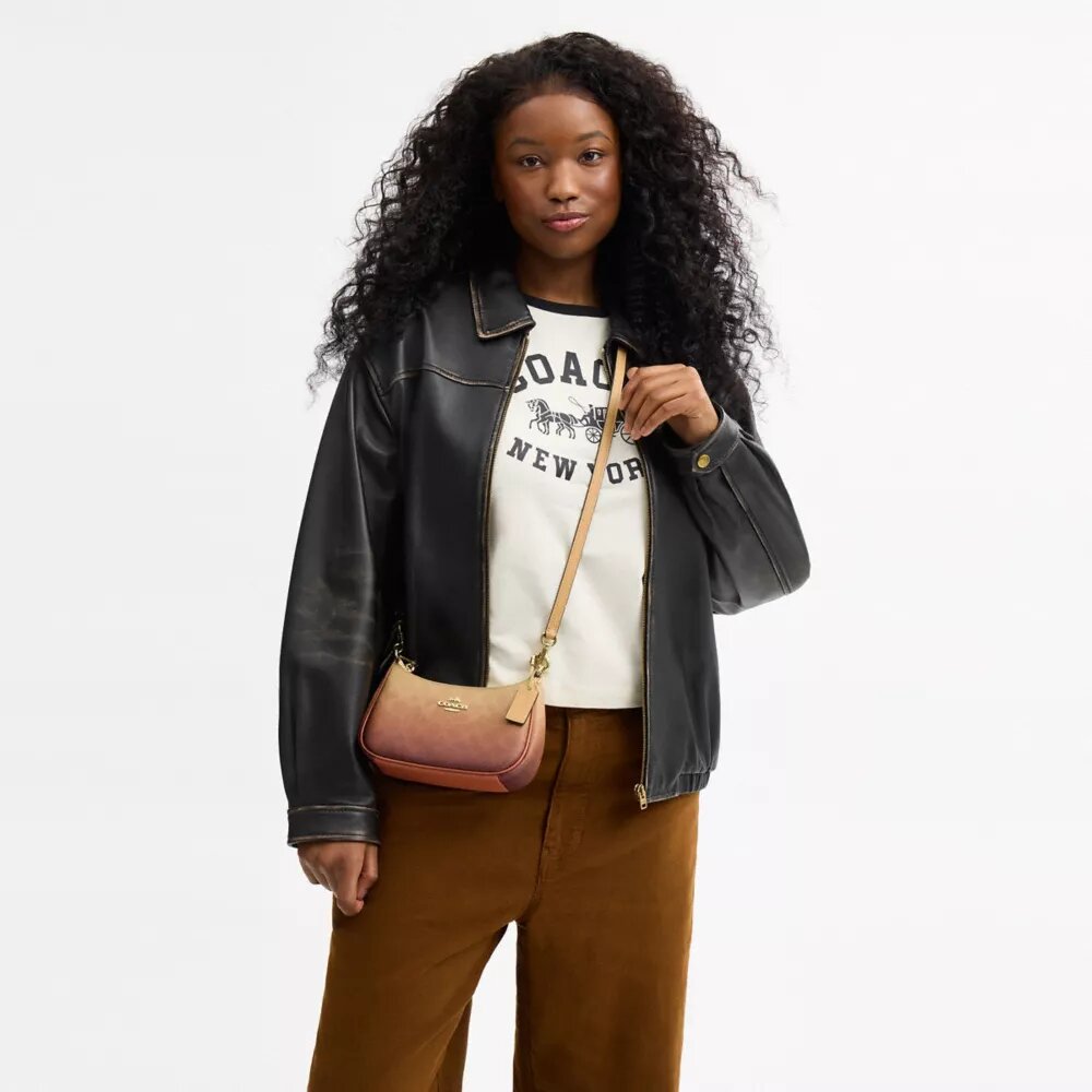 Teri Mini-crossbodyväska i Ombre Signature Canvas