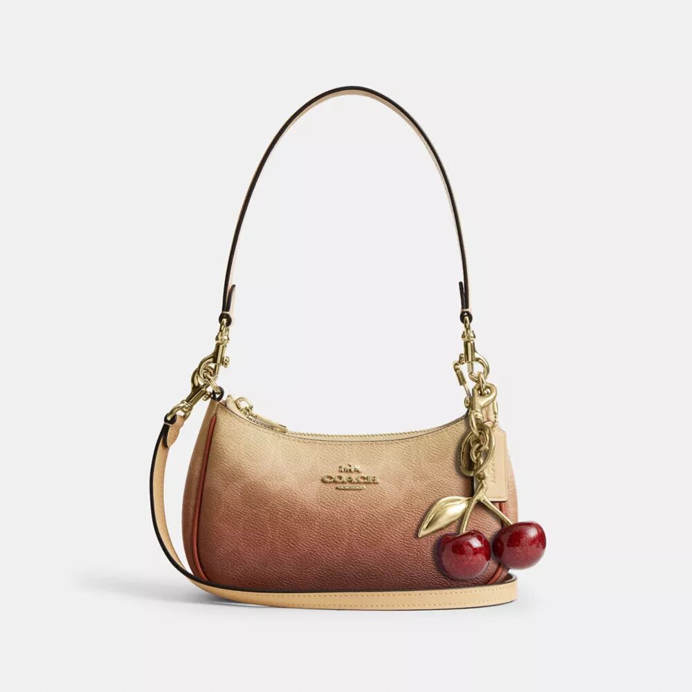 Teri Mini-crossbodyväska i Ombre Signature Canvas