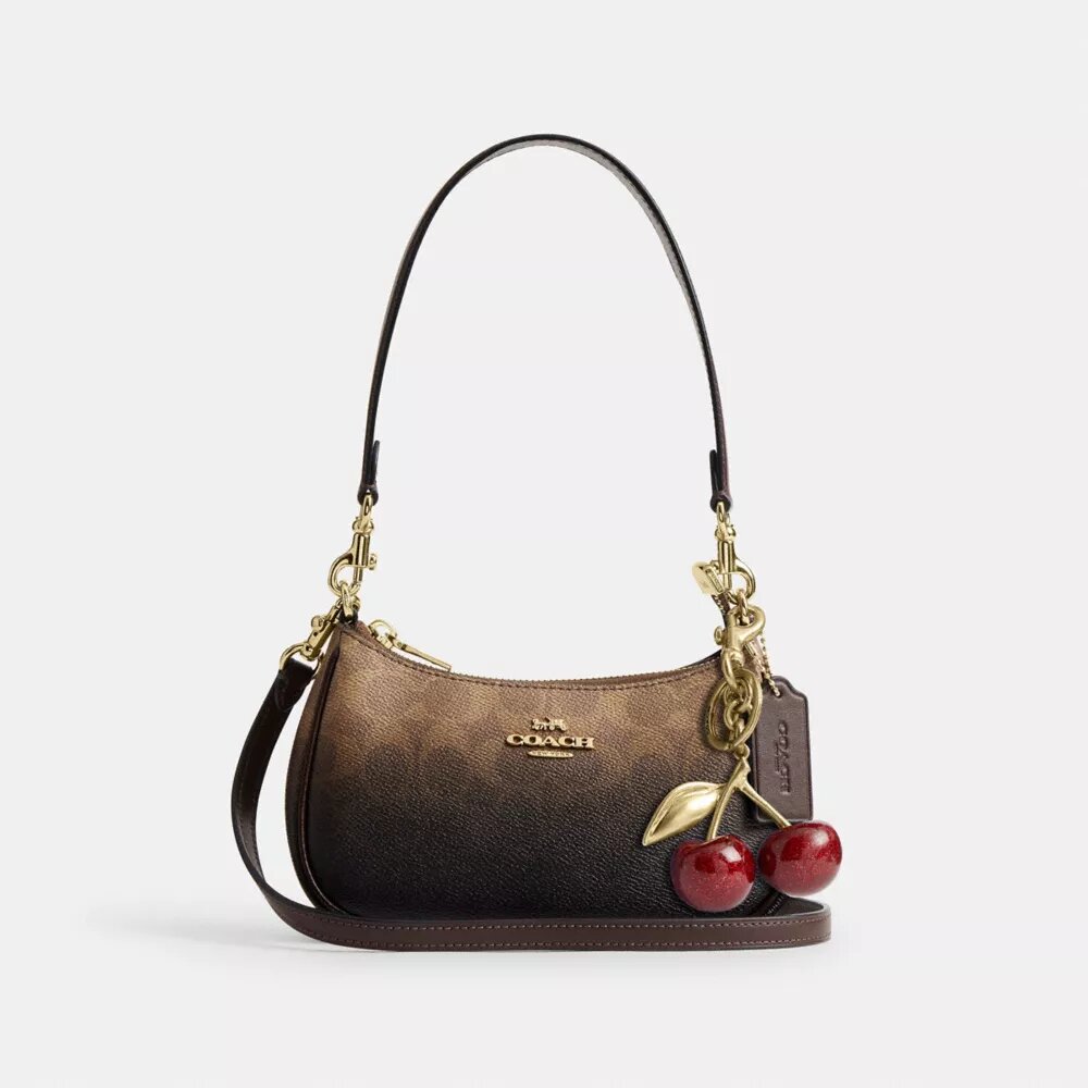 Teri Mini-crossbodyväska i Ombre Signature Canvas