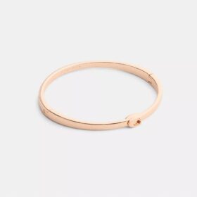 Tunt armband med vår signatur och gångjärn