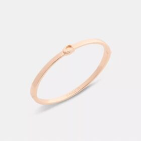 Tunt armband med vår signatur och gångjärn