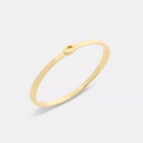 Tunt armband med vår signatur och gångjärn