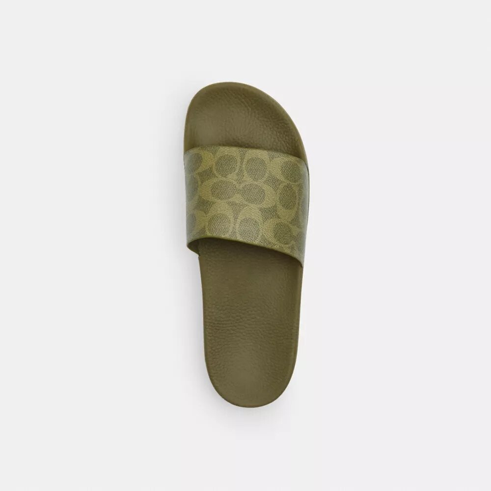 Udele Sporttofflor i vår Signature Canvas