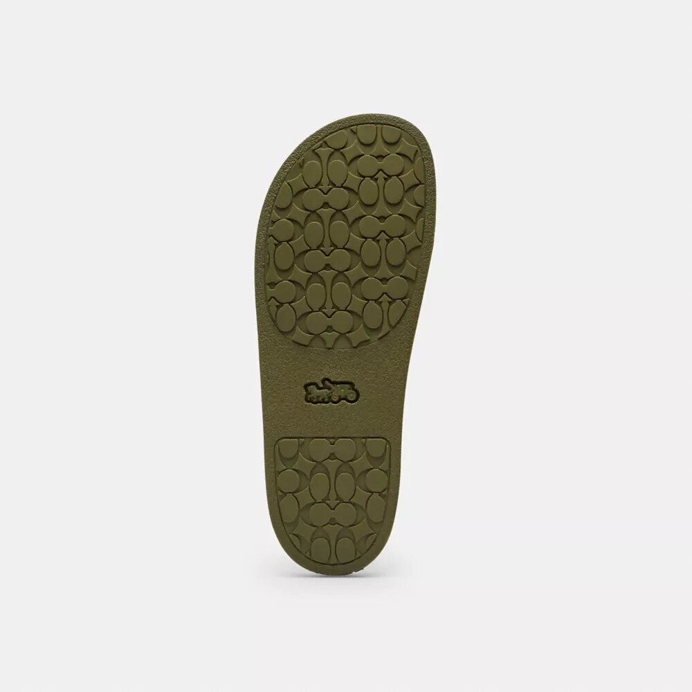 Udele Sporttofflor i vår Signature Canvas